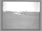 [Race Horses]