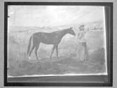 [Horses]