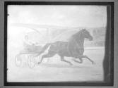 [Horses]