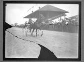[Horse Racing]