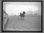 [Horse Racing]