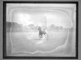 [Horse Racing]