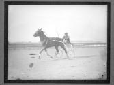 [Horse Racing]