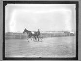 [Horse Racing]