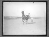 [Horse Racing]