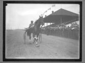 [Horse Racing]