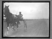 [Horse Racing]