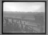 [Horse Racing]