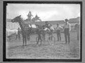 [Horse Racing]