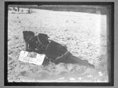 [Atlantic City Beach]