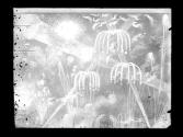[Fireworks]