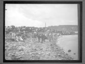 [Boat Race, New London, CT]