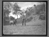 [Goats at Zoo, Robinson Crusoe]