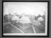 [Harvard Observatory]