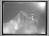 [Horses]