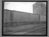 [Freight Cars and Trains]