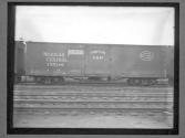 [Freight Cars and Trains]