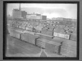 [Freight Cars and Trains]