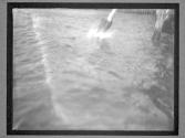 [Elaine Golding, Swimmer]