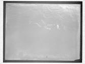 [Elaine Golding, Swimmer]