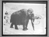 [Prehistoric Animals]