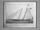 [America's Cup, 1899]