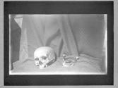 [Skulls]