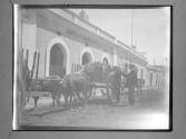 [Architecture, Gonzalez Bonnin & Co. S. en C.]