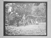 [C. Irving Fisher and man with camera]