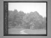 F.W.M.'s Bottling House - Chestnut