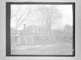 [Trees And Domestic Architecture]