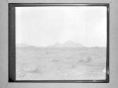 [Desert Landscape]