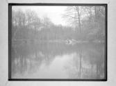 [Woods Reflected In (Pond)]