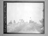 Dr. Howard Woodlot NH