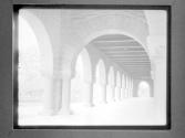[Arches Of Leland S. University]