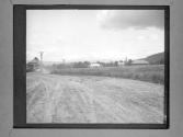 [Road Leading To Domestic Architecture]
