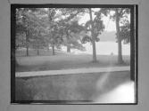 Wellesley College