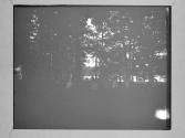 Wellesley College/ The Wood Nymph Dance