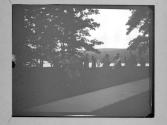 Wellesley College/ The Wood Nymph Dance