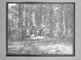[People Having Picnic In Woods]