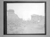 [Horses At Architectural Ruin]