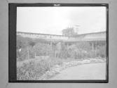 [C. Irving Fisher In Courtyard]
