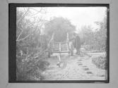 [Man looking at base of (ox)cart]