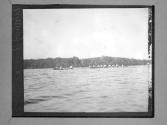 Wellesley