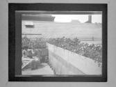 C.L.F. And L.M.F. Rooftop Garden Panorama