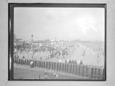 [People At Shore]
