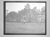 Lenox Library Lot Haying Scenes