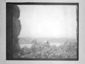 [Lake, Pond In Rural Landscape]