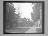 [Grass Yard And Sidewalk]