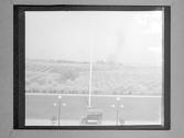 [Car In Front Of Agricultural Landscape]